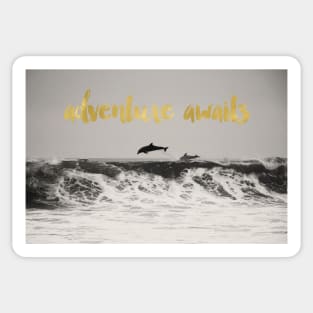 Dolphins Adventure Awaits Sticker